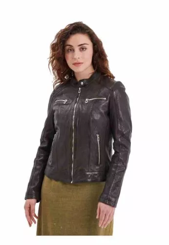 Rose Garden Jolya Maroon