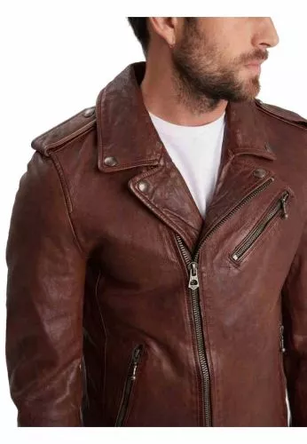 Daytona 73 Golberg Cognac
