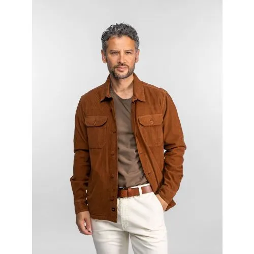 Daytona 73 Avon Cognac