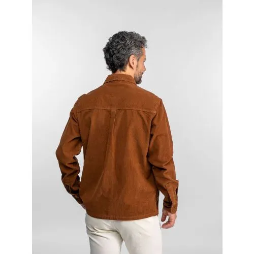 Daytona 73 Avon Cognac