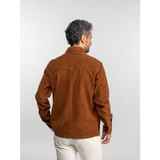 Daytona 73 Avon Cognac